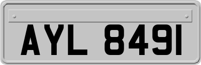 AYL8491