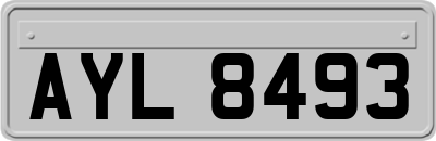 AYL8493
