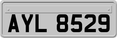 AYL8529