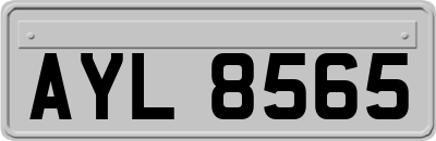 AYL8565