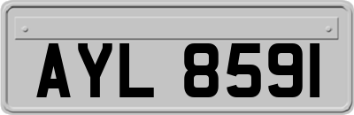 AYL8591