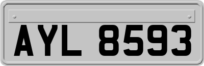 AYL8593