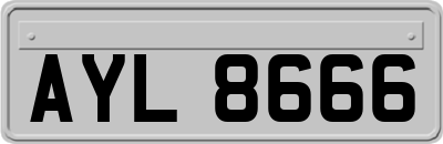 AYL8666
