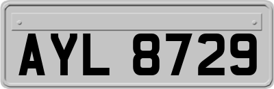 AYL8729