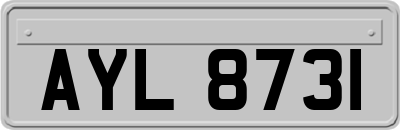 AYL8731