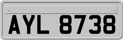 AYL8738