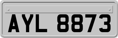 AYL8873