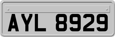 AYL8929
