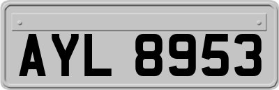 AYL8953