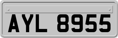 AYL8955