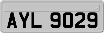 AYL9029