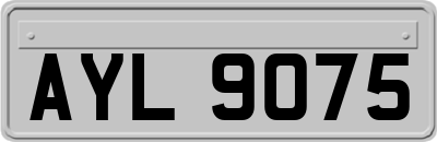 AYL9075