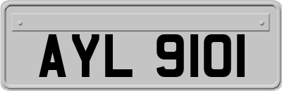 AYL9101