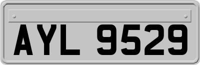AYL9529
