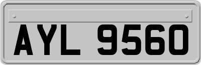 AYL9560