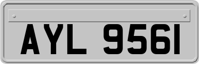 AYL9561