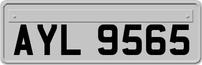 AYL9565
