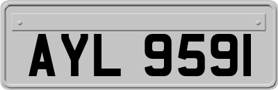 AYL9591