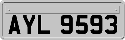 AYL9593
