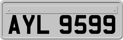 AYL9599