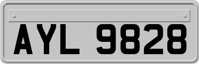 AYL9828