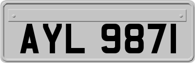 AYL9871
