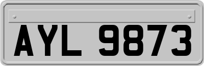 AYL9873