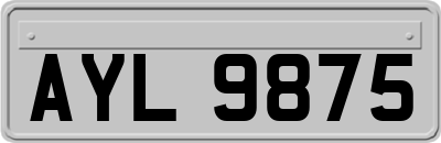 AYL9875