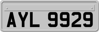 AYL9929