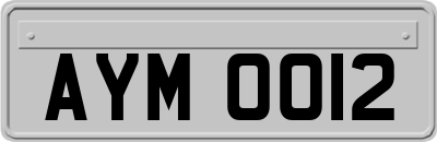 AYM0012