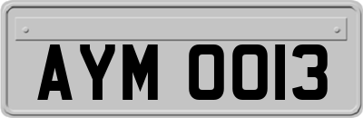 AYM0013
