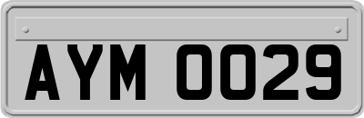 AYM0029