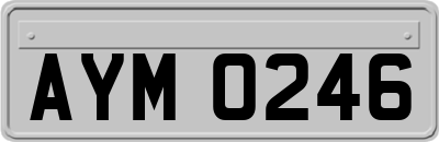 AYM0246