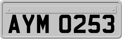 AYM0253