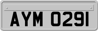 AYM0291