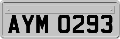 AYM0293