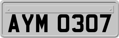 AYM0307