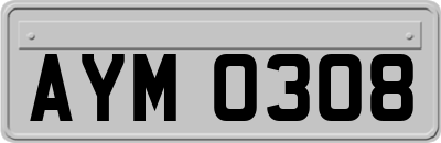 AYM0308