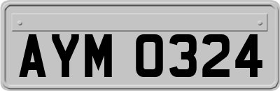AYM0324