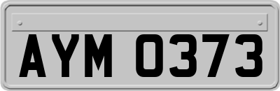 AYM0373
