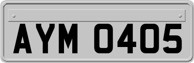 AYM0405
