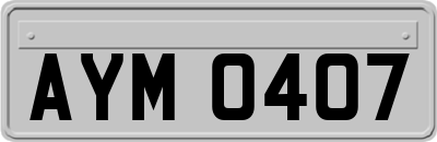 AYM0407