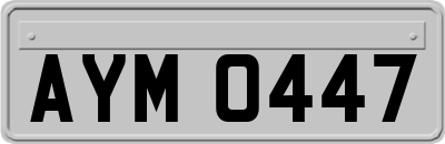 AYM0447