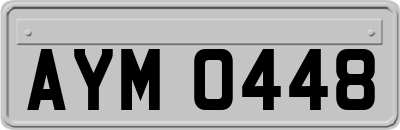 AYM0448