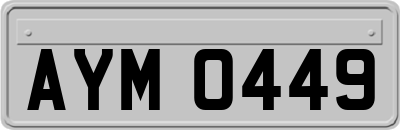 AYM0449