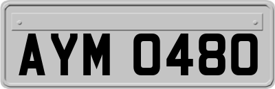 AYM0480