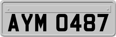 AYM0487