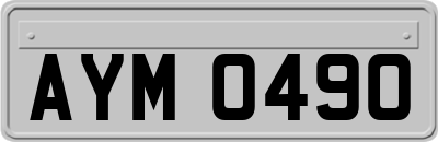 AYM0490