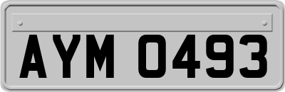 AYM0493