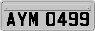 AYM0499